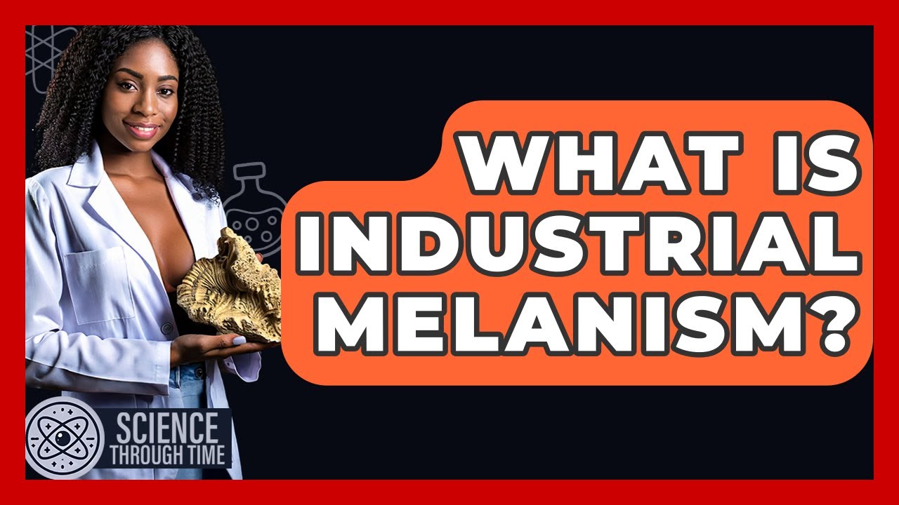 What Is Industrial Melanism? - Science Through Time