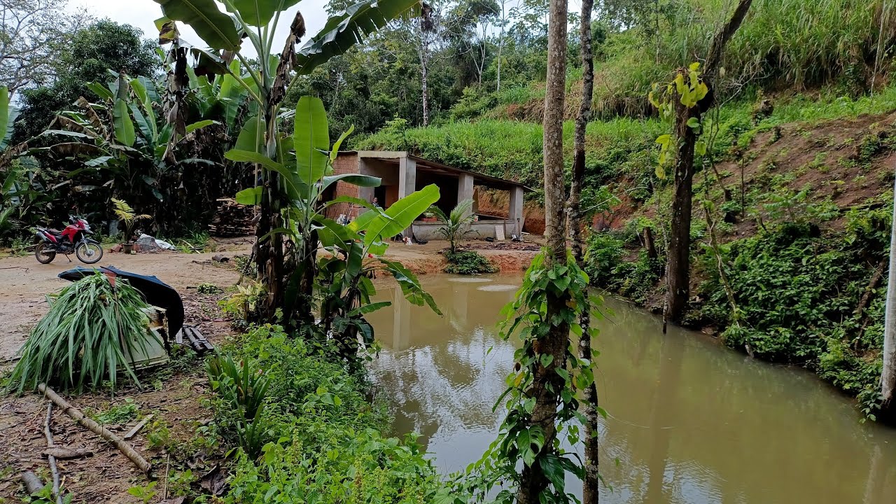 Vende se esse sítio no Engenho Pau sangue zona rural Palmares. 200 mil PE (081)996309085