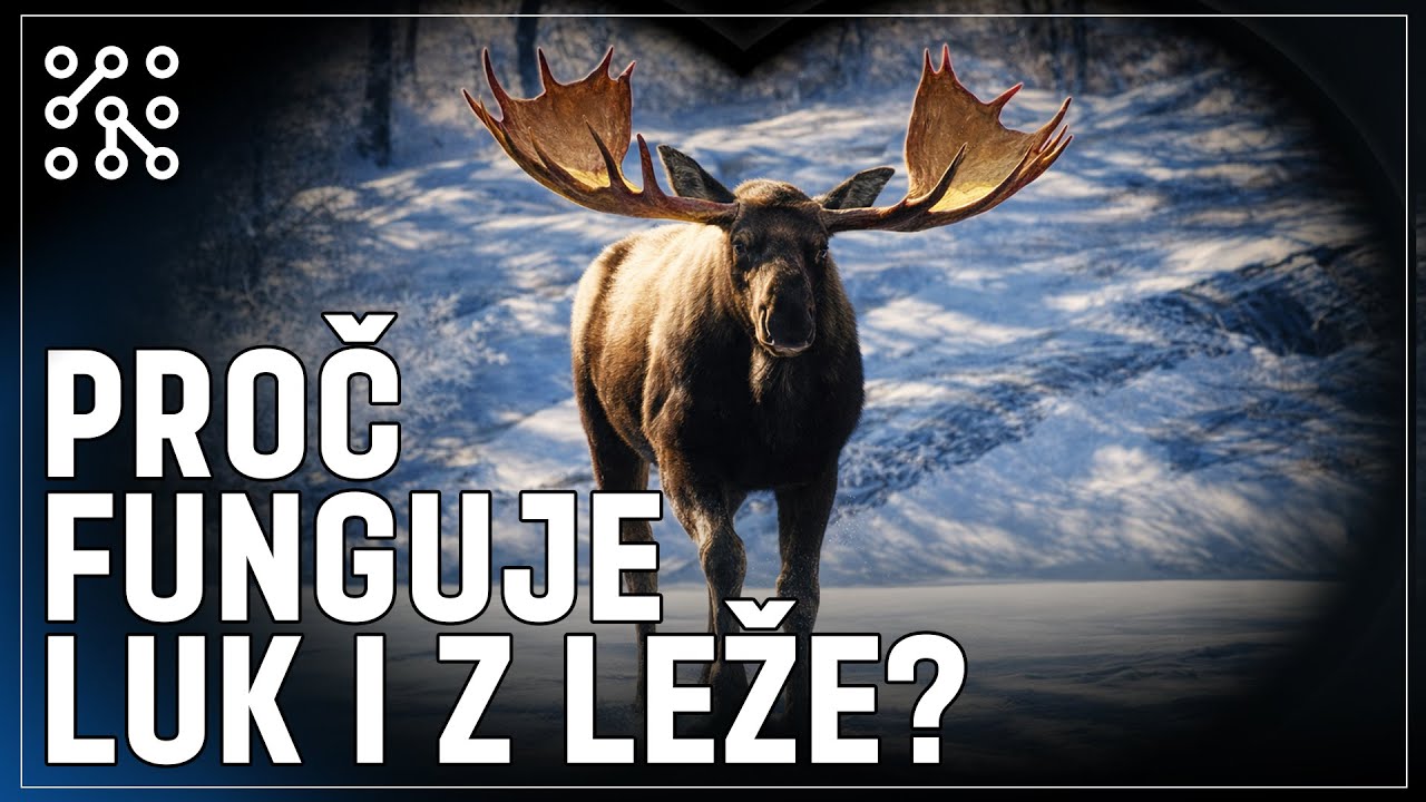Výzva: Lov losů lukem | theHunter: Call of the wild CZ |  Česky