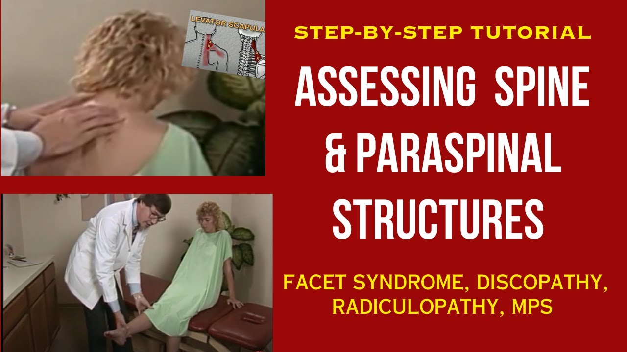 Elevate Your Clinical Skills: Step-by-Step Tutorial for Assessing the SPINE & PARASPINAL STRUCTURES