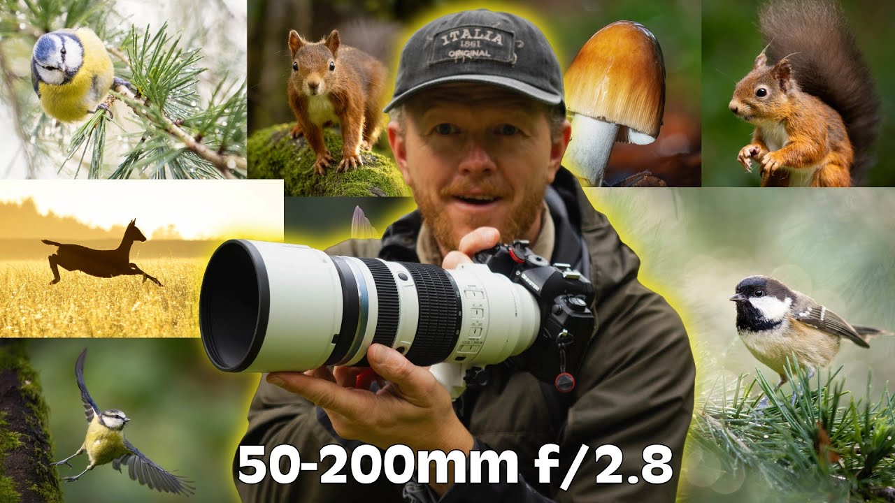 Should You Get The New M.Zuiko 50-200mm f/2.8?