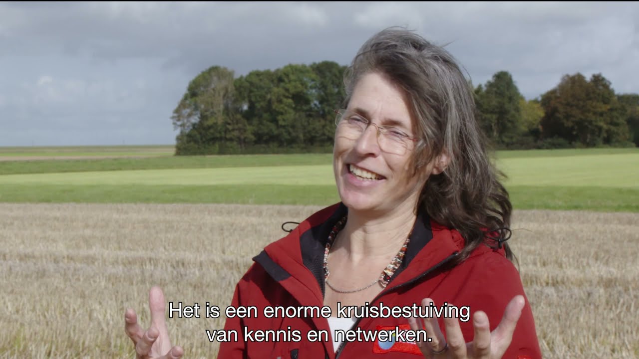 Bodemverdichting, wat is dat? (lange versie)