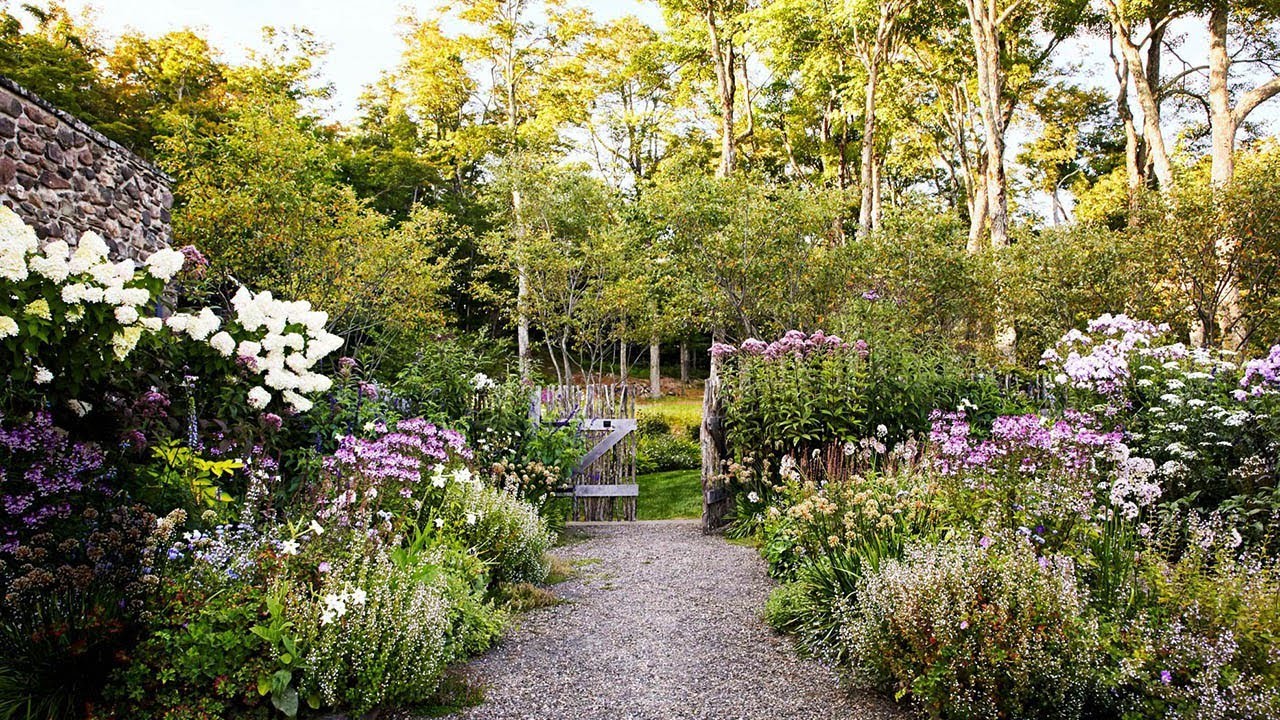 10 Best Flowers For A Farmhouse Garden