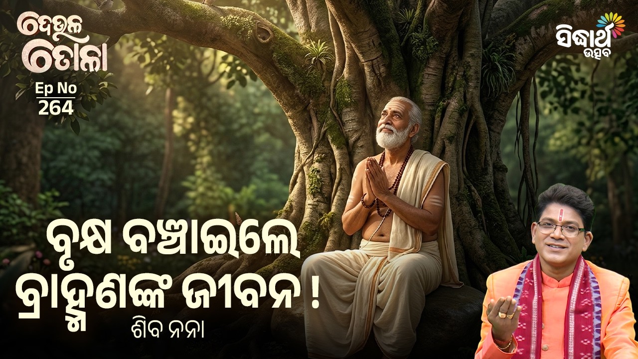 DEULA TOLA | EP 264 | ଦେଉଳ ତୋଳା | ବୃକ୍ଷ ବଞ୍ଚାଇଲେ ବ୍ରାହ୍ମଣଙ୍କ ଜୀବନ ! | Siba Nana | Sidharth Utsav