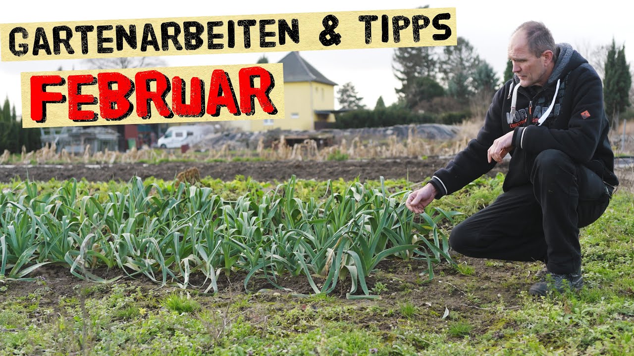 Arbeiten im Gemüsegarten im Februar - Erdbeeren und Spargel Düngen, Voranzucht und Beetplanung