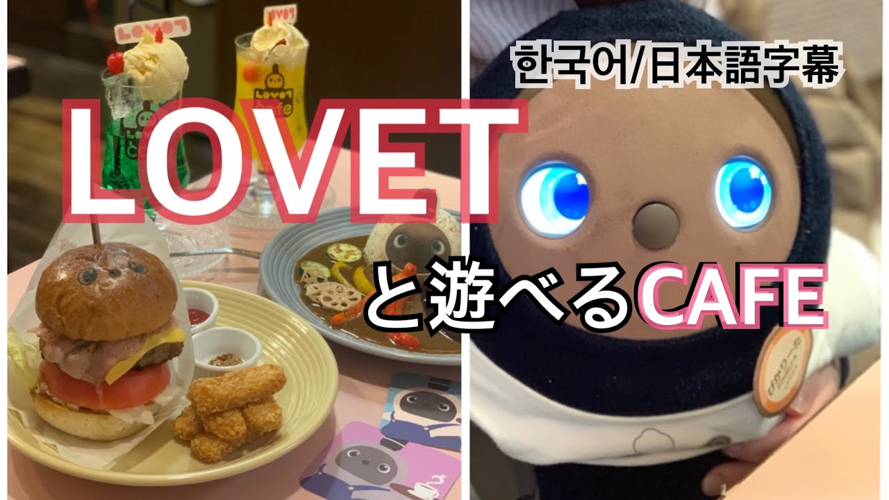 【한국어】LOVOTCAFEで癒されてきた