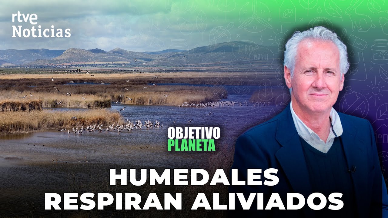 OBJETIVO PLANETA: AUMENTA el NIVEL de AGUA en DOÑANA, LA JANDA o LAS TABLAS DE DAMIEL