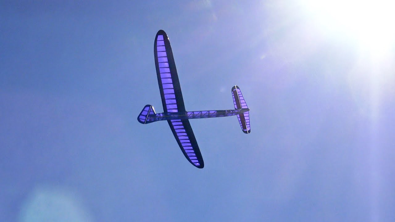 Hammerhead Canard gliding.