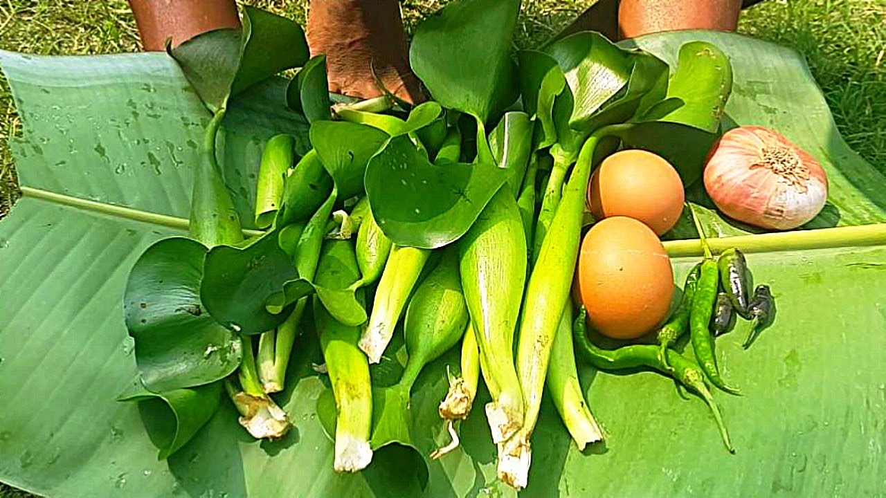 কচুরিপানা ডিম দিয়ে রান্না-Cooking Water Hyacinth | Cook & Eating Show