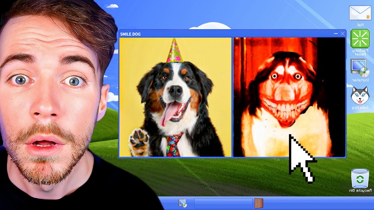 CE JEU MIGNON VA HACKER TON PC (Smile Dog)