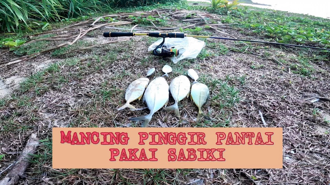 ⭕⭕MANCING PINGGIR PANTAI PAKAI SABIKI