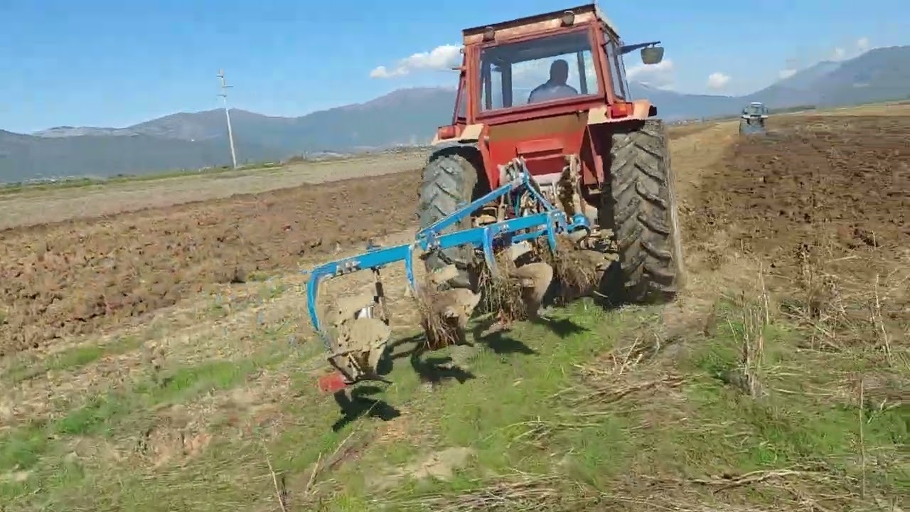 IMT 5136 TURBO ORANJE PLOWING 2024 ZIVINARSKA FARMA DOLNENI