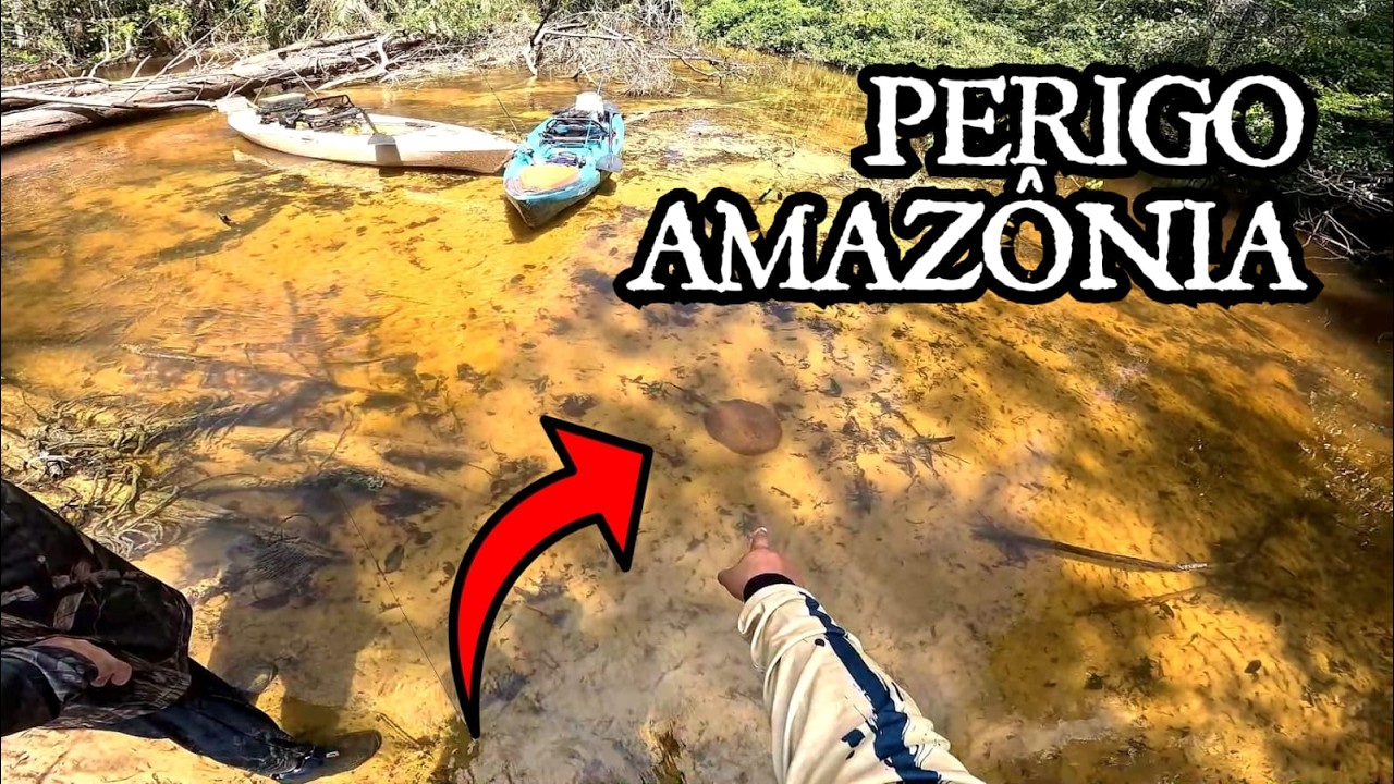 FOI PERIGOSO! ACHAMOS UM LUGAR NA AMAZÔNIA QUE PARECE UM AQUÁRIO NATURAL - Pescaria VÍDEO COMPLETO