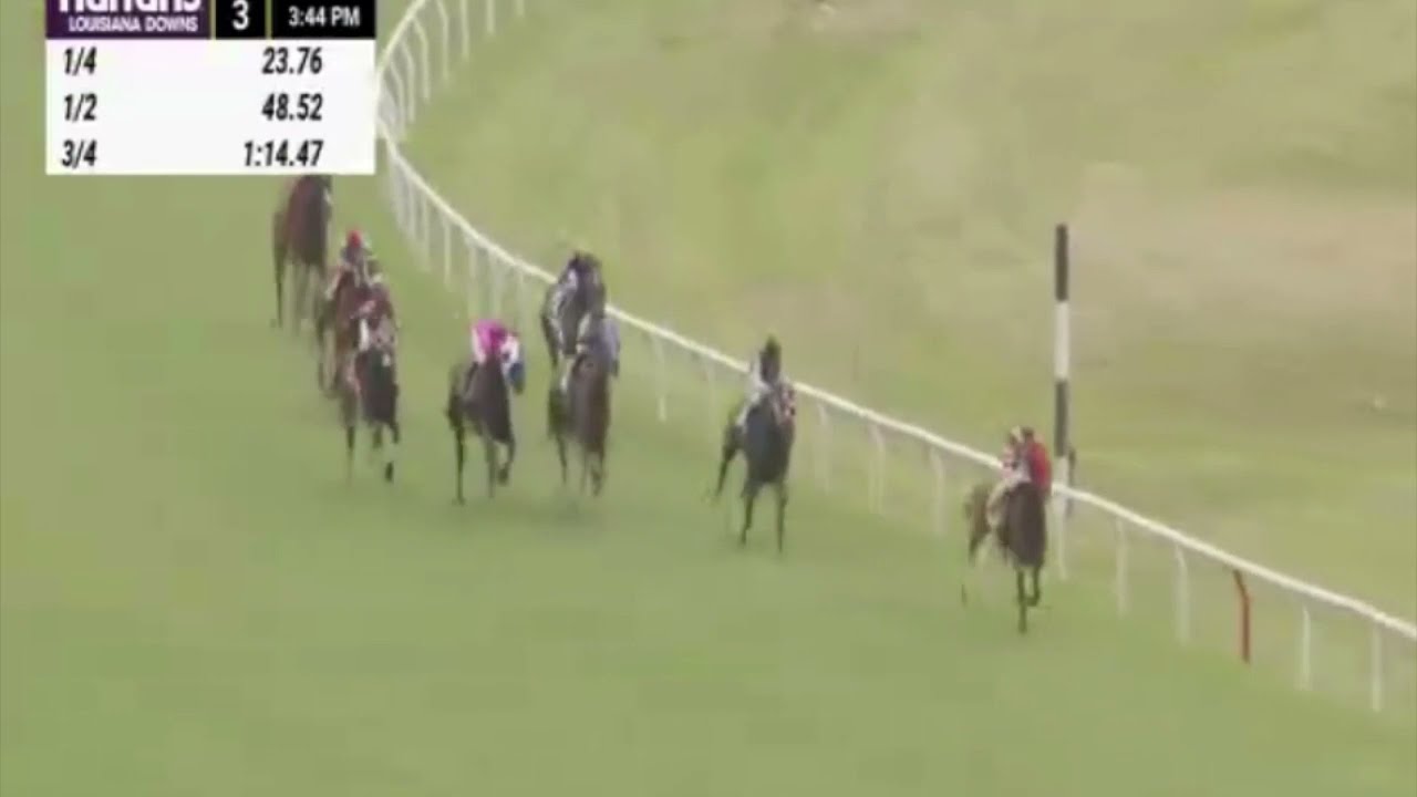 Louisiana Downs - Race 3