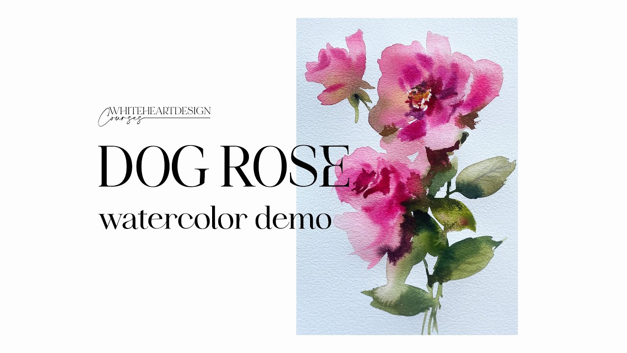 Dog Rose Watercolor Demo Painting