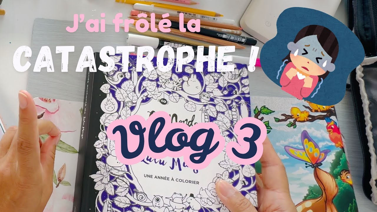 vlog 3.  coloriage, achats, bla bla, colo mystère astuces!