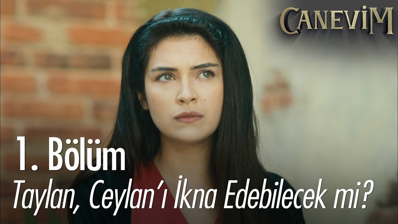 Taylan, Ceylan'ı ikna edebilecek mi? - Canevim 1. B&ouml;l&uuml;m