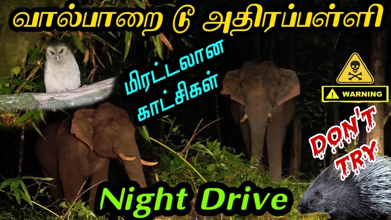 அதி பயங்கர valparai to athirapally இரவு பயணம்|மிரட்டலான காட்சிகள்|dangerous night drive|kerala