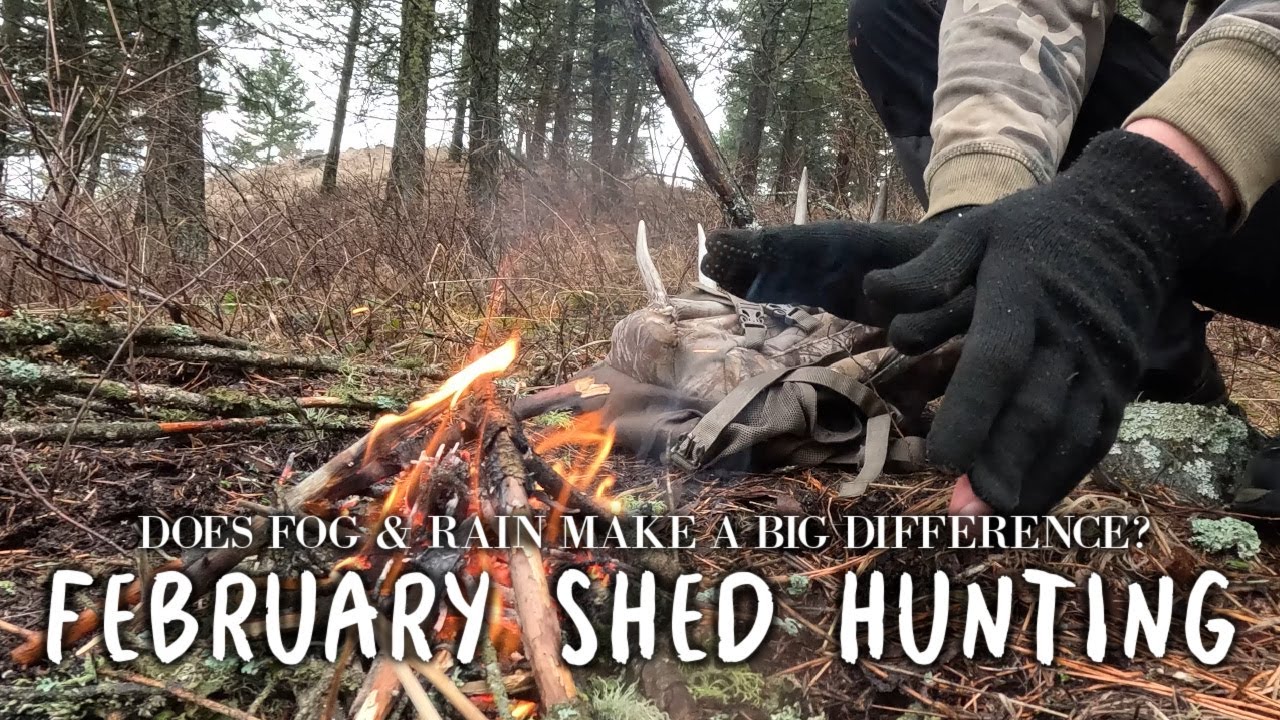 Shed Hunting 2026 | Another Epic Day..Camp Fire...lost in Fog & More Freshies!!!!!