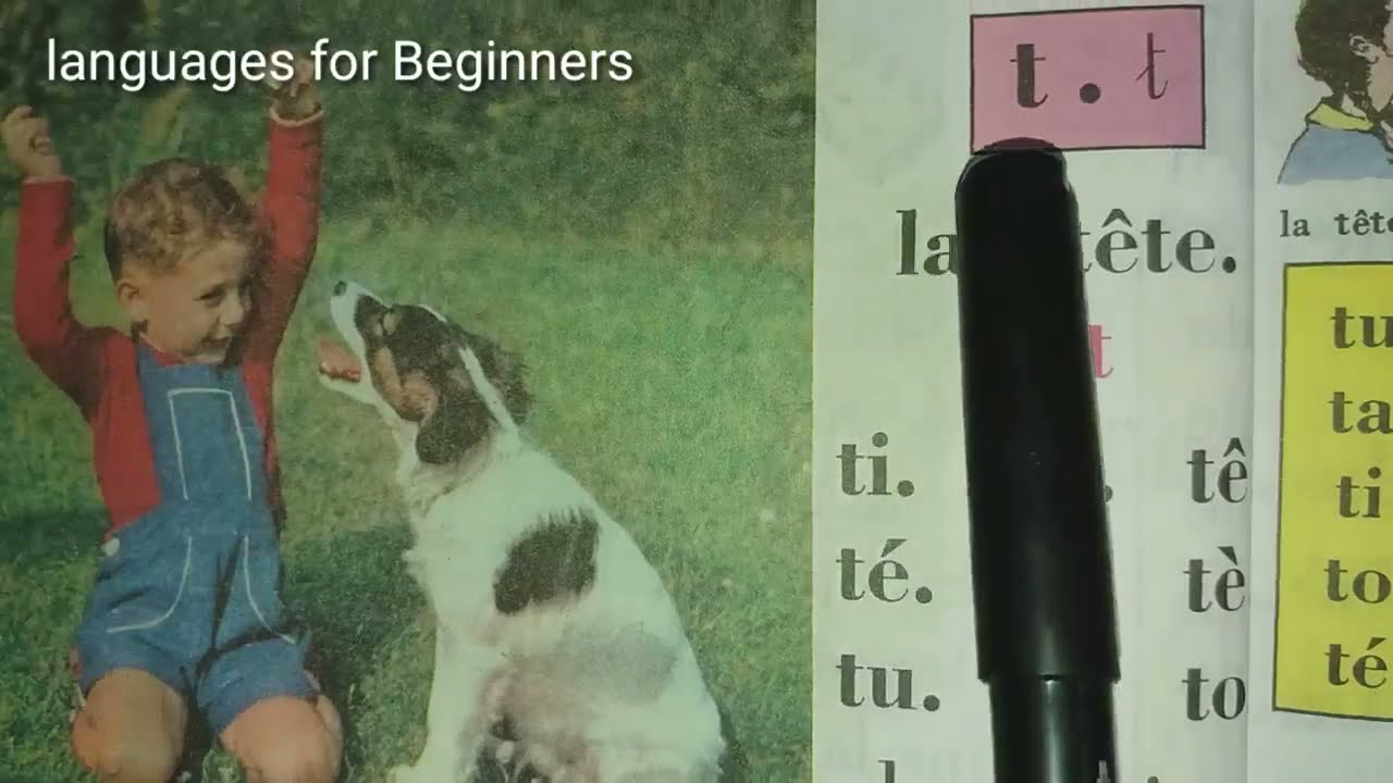 Bien lire et comprendre page 24 - 25 - أقرأ وأفهم  - let's learn French