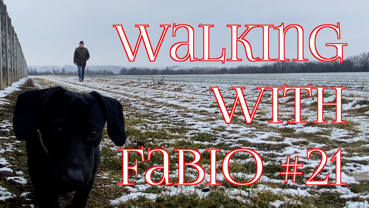 Walking with Fabio #21 Stoicism?