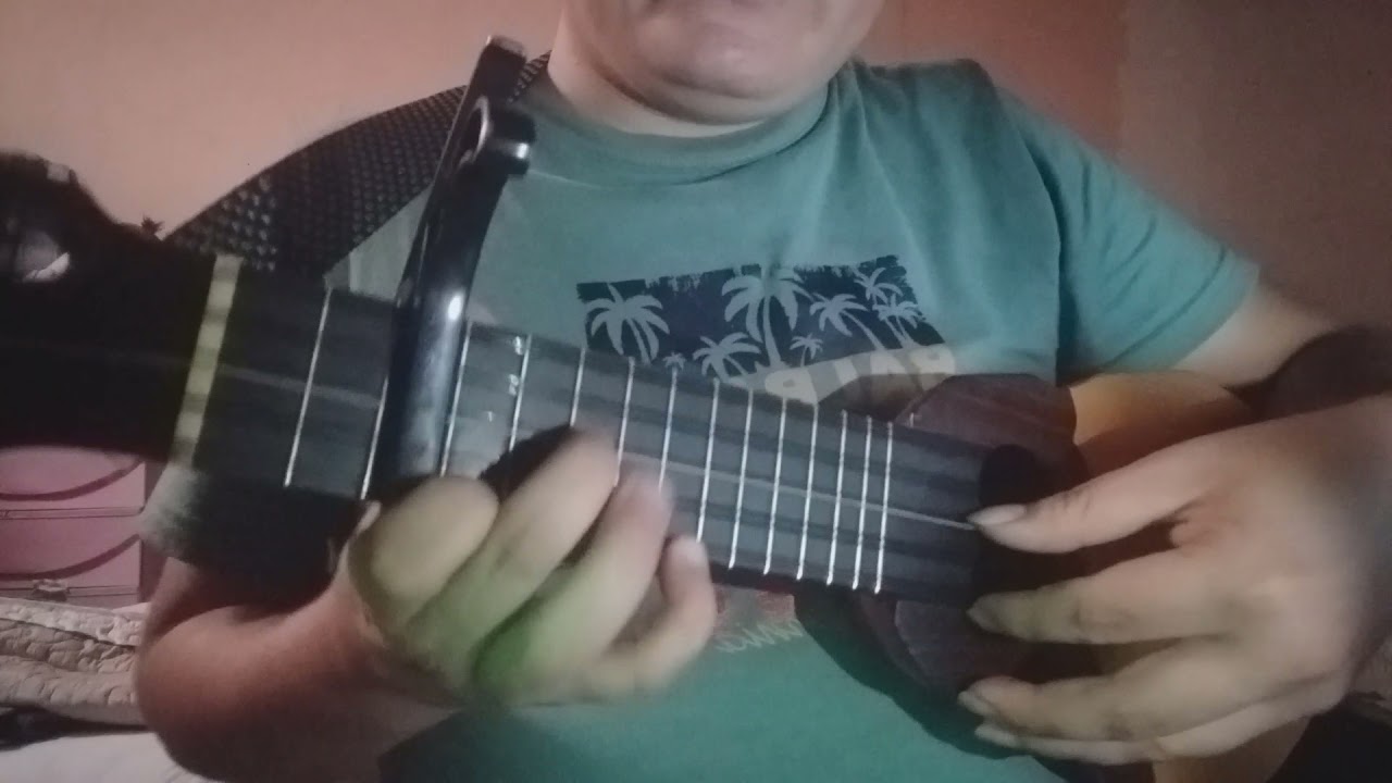 intro Charango: Canto de corazón - wiñay Marka