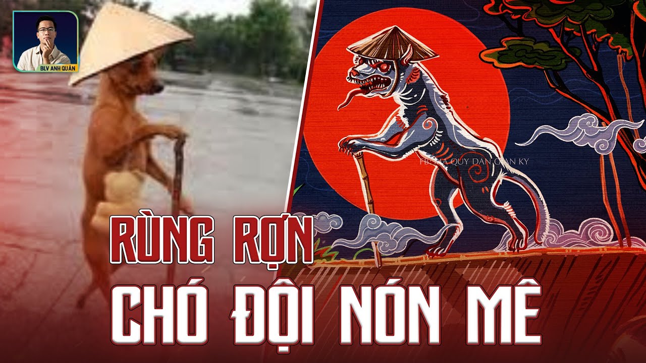 CHUYỆN BÍ ẨN CHÓ CHỐNG GẬY ĐỘI NÓN MÊ
