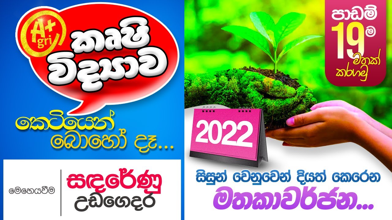 01 පාඩම ( කෙටි සටහන / මතකාවර්ජනය ) - ශ්‍රී ලංකාවේ සංවර්ධනයට කෘෂි අංශයේ දායකත්වය