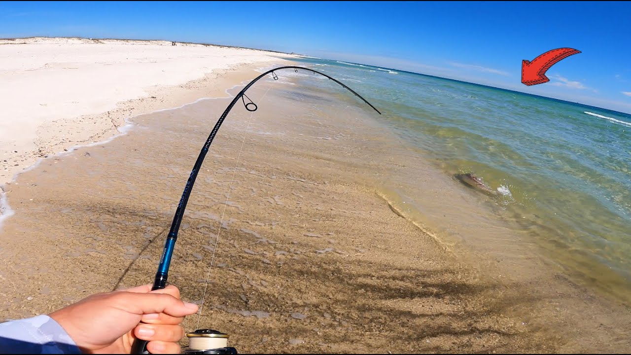My Most MASSIVE Catch From the Beach!