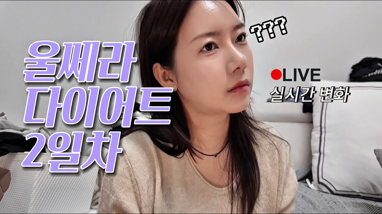 다이어트, 울쎄라 2일차📹 밥 잘 주는 친구 냉장고 털기🍳