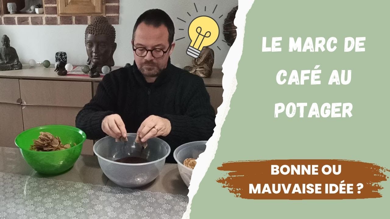 Le Marc de Café au Potager Bonne ou Mauvaise Idée