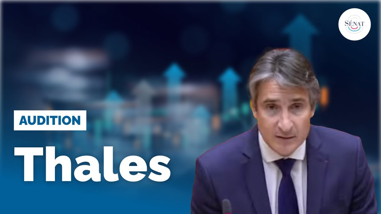 Aides aux grandes entreprises : audition de Thales