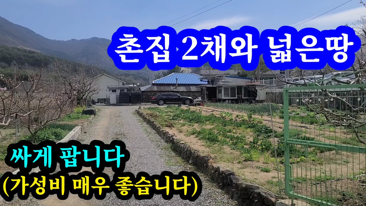 함안촌집(2채)+넓은땅(1176㎡/355평) 매우 싸게팝니다  군북면 주변 환경좋은곳 마을 떨어진 독립공간 넓은 진입도로 대형차량등 접근성용이 쓸만한 주택2채와 잘 가꿔진텃밭함안땅
