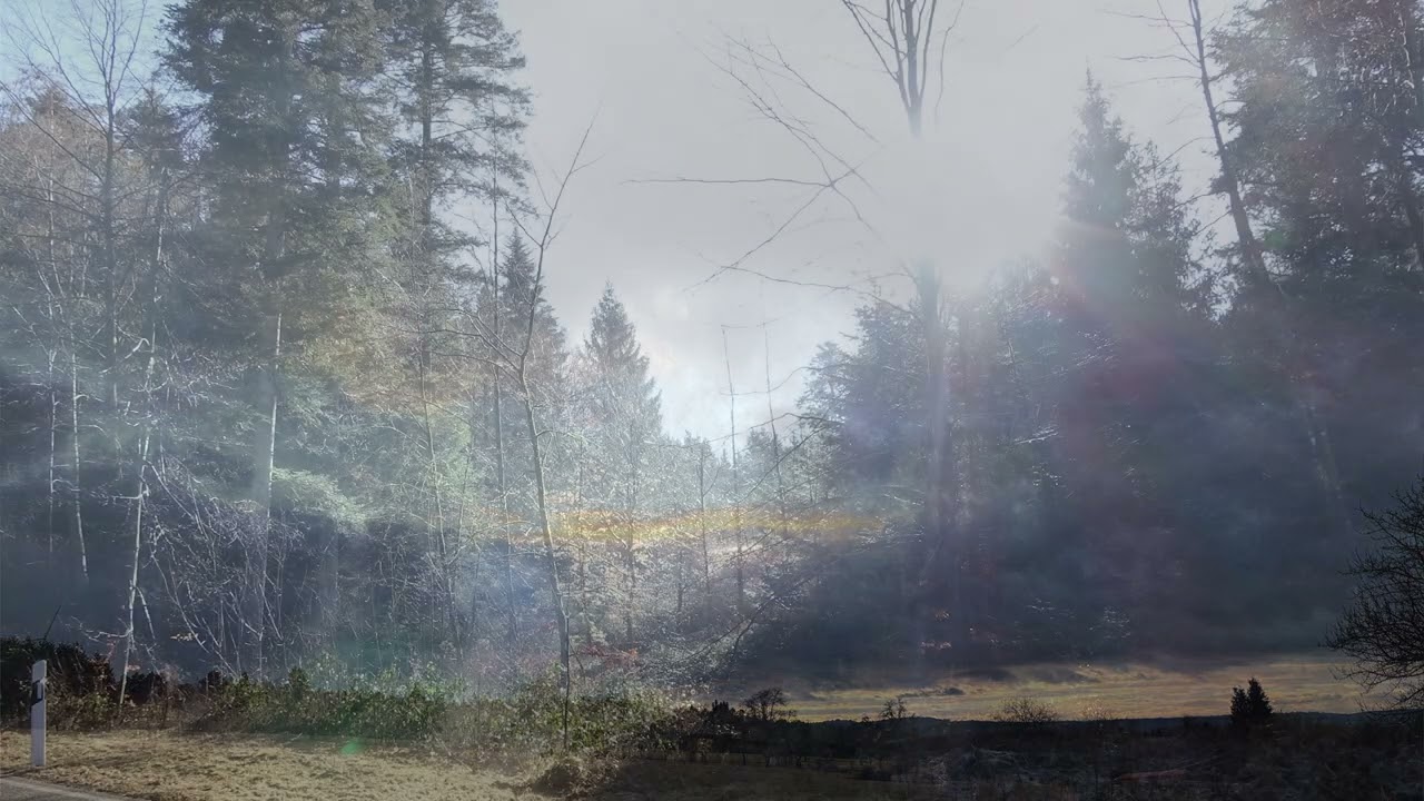 Mehr Licht!