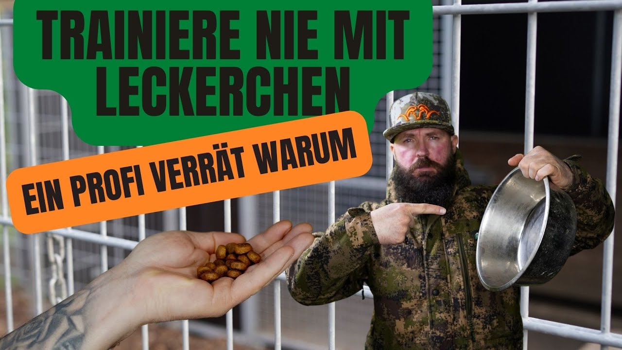 Trainiere nie mit Leckerchen - Ein Profi verrät warum!