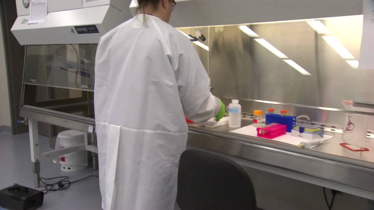 BRI Safety: Inside the Lab