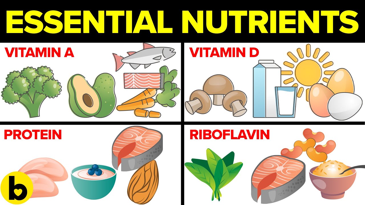 9 Most Essential Nutrients And Why They Are Important