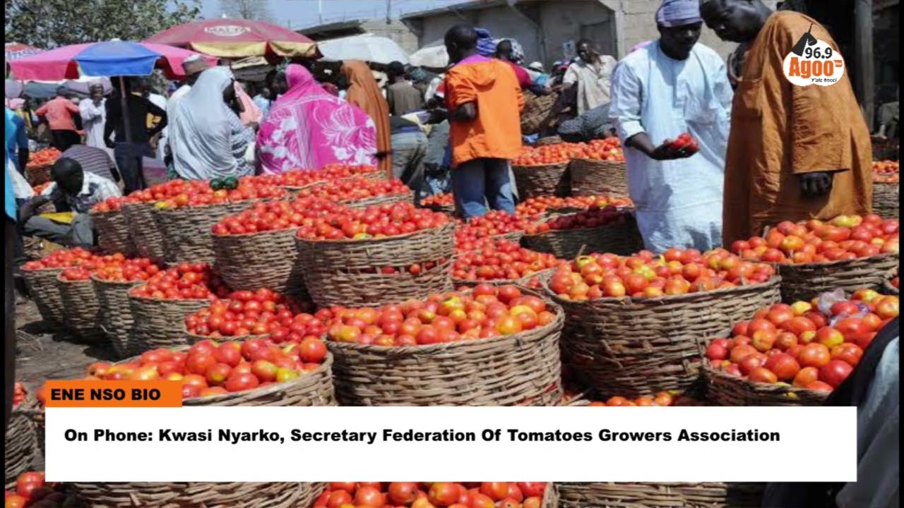 Tomato Trading... why always Burkina Faso?