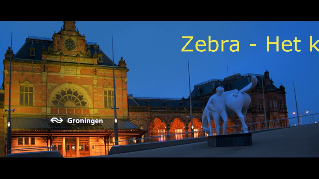 Zebra   Het kan altijd nog