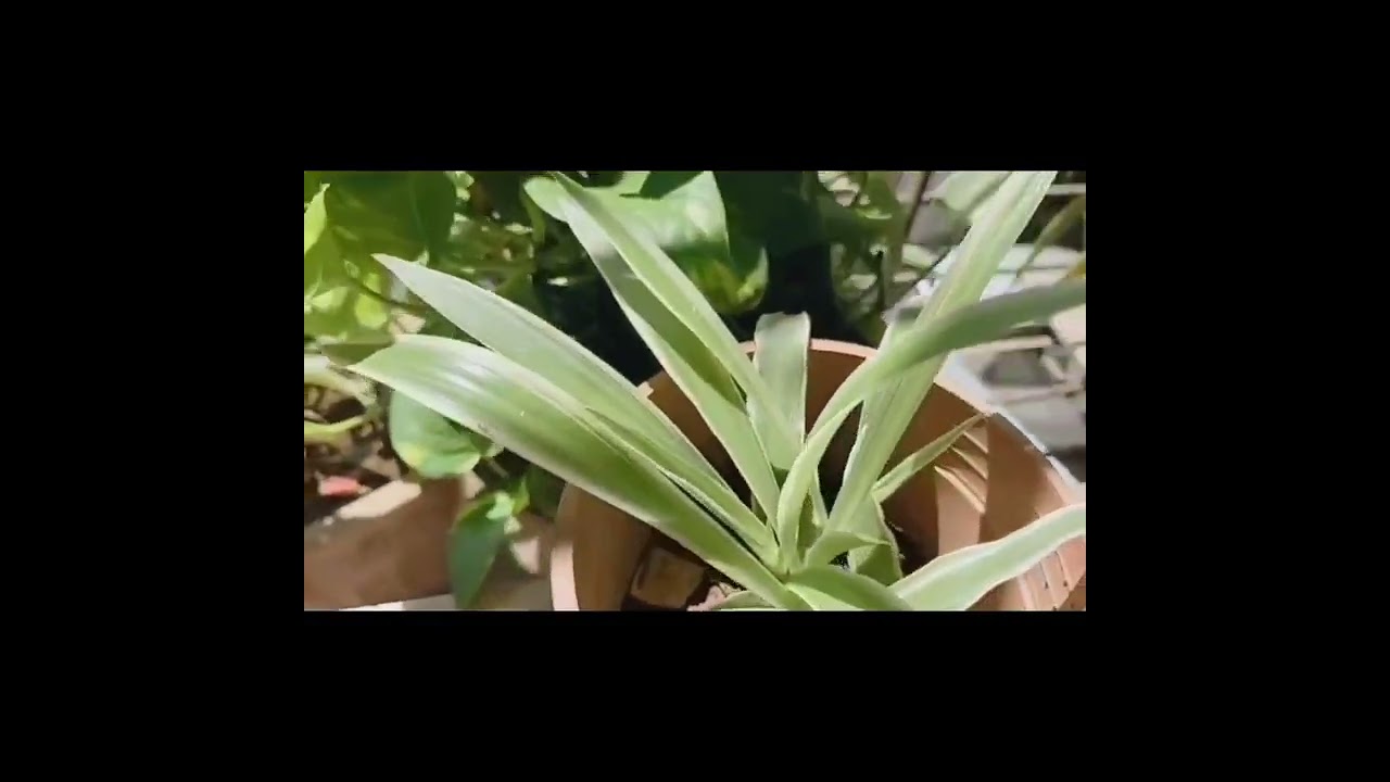 small space big garden 