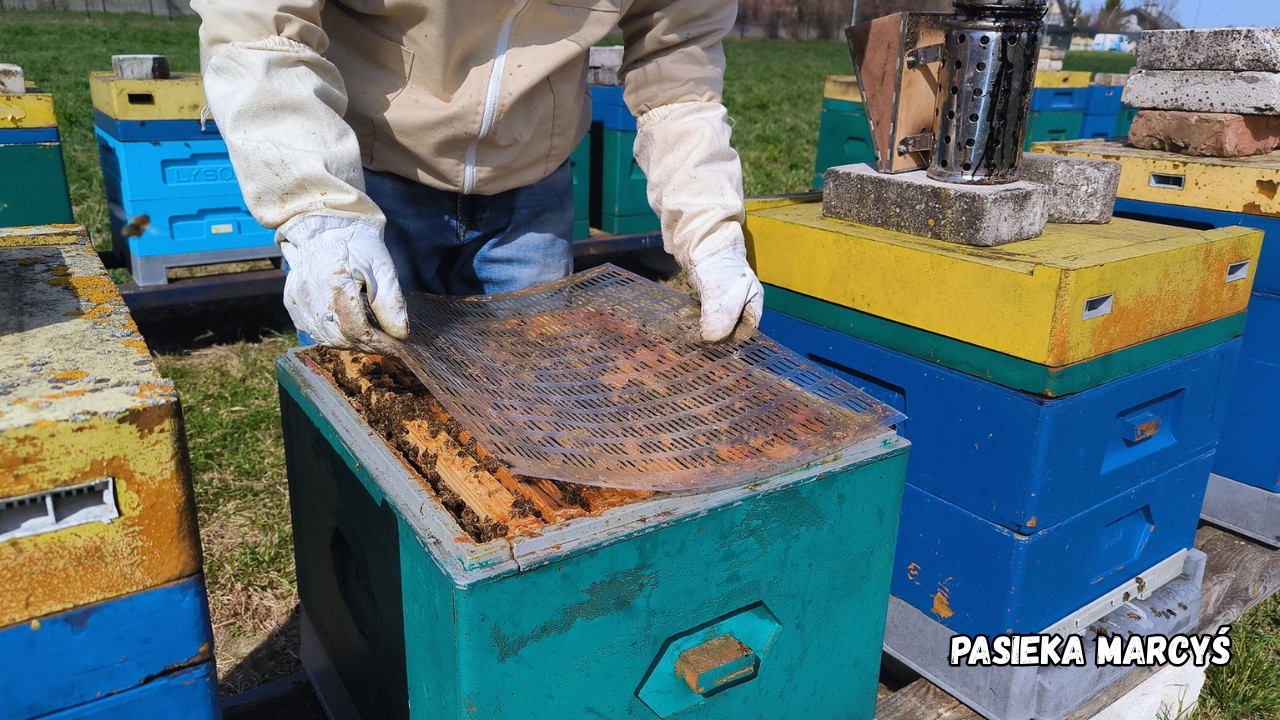 Początek kwietnia w pasiece &ndash; nadstawki, węza i ramki pracy
