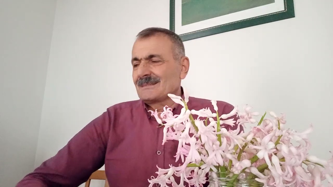 Mehmet Faik yatar bizim pencereler yele karşi dir