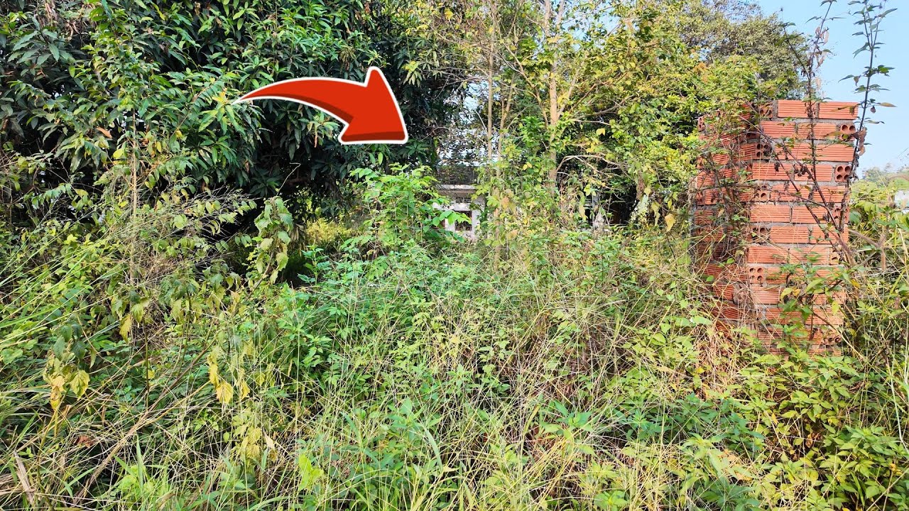 26 Minute TIME LAPSE - HIDDEN by a WILD JUNGLE — an ABANDONED HOUSE no one noted for YEARS