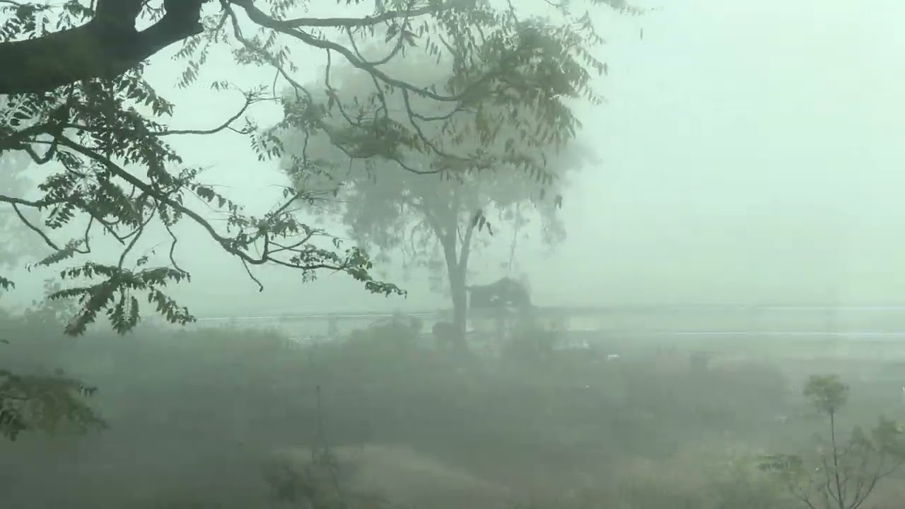 Train passing in heavy dense fog 