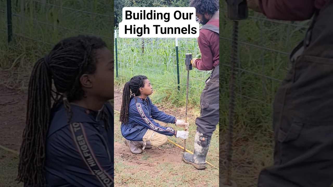 Building Our High Tunnels 