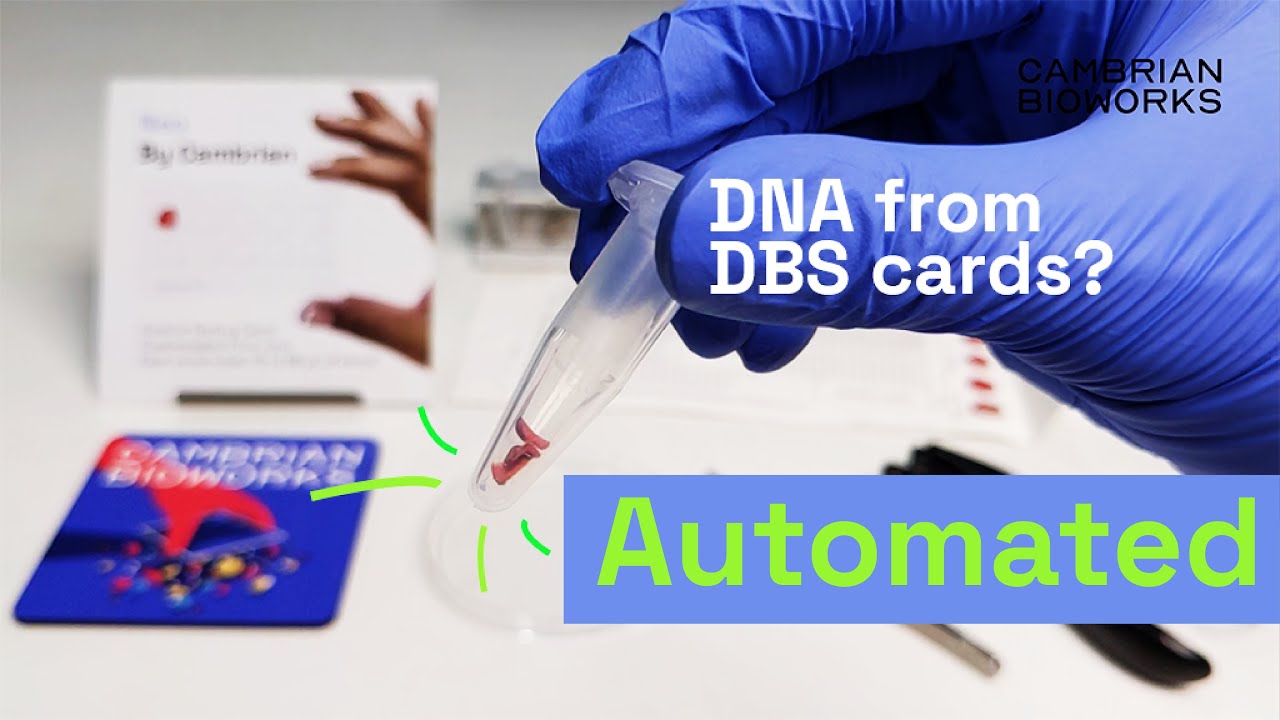 Automated DNA extraction from DBS cards