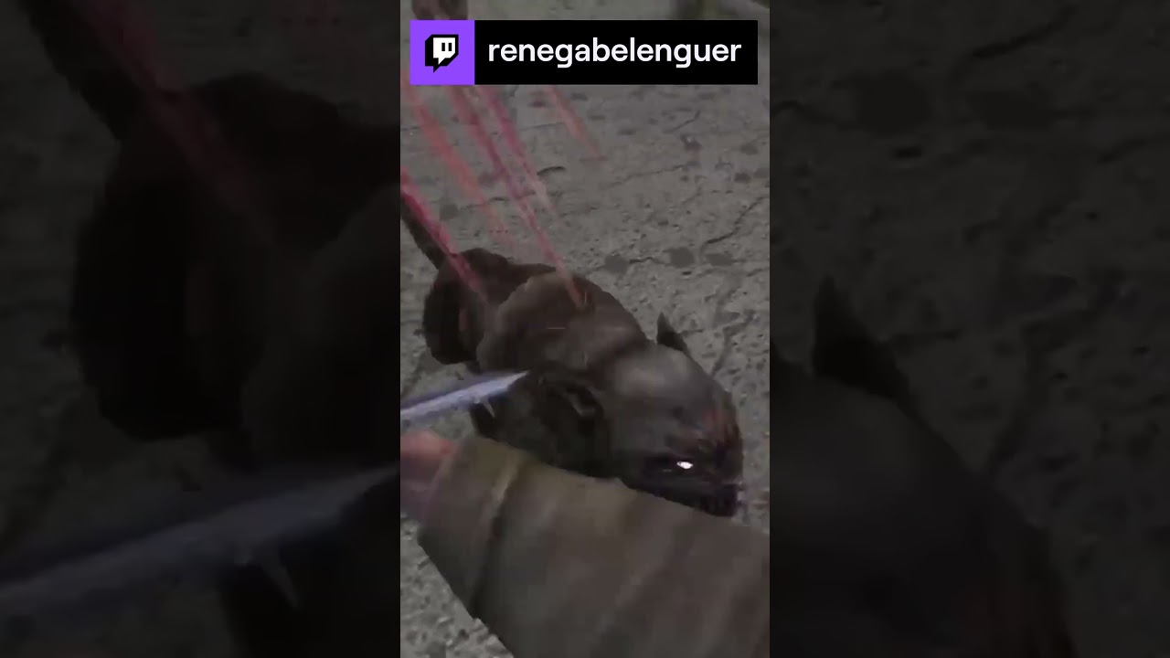 Quand t'es pas prêt pour vivre à PARIS ! | renegabelenguer sur 