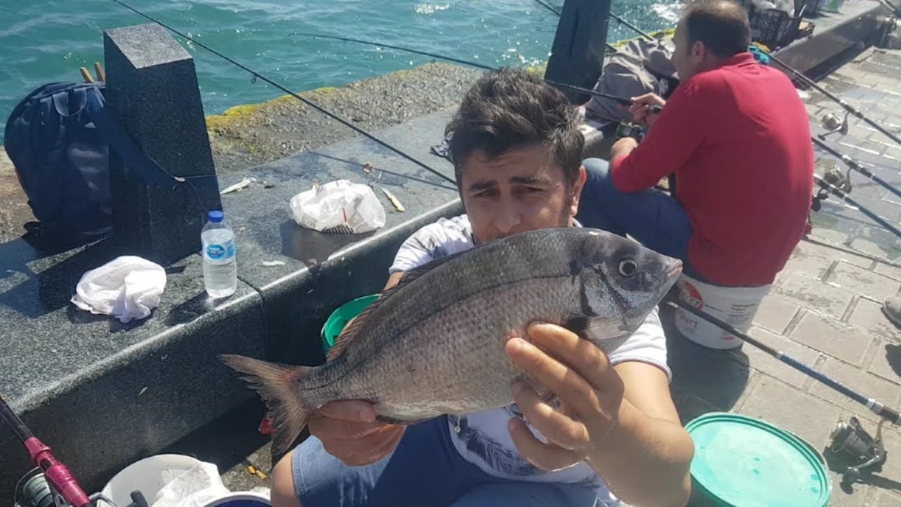 DEV KARAGÖZ AVI BU MERADA !!!! ANLIK BALIK AVI RAPORU