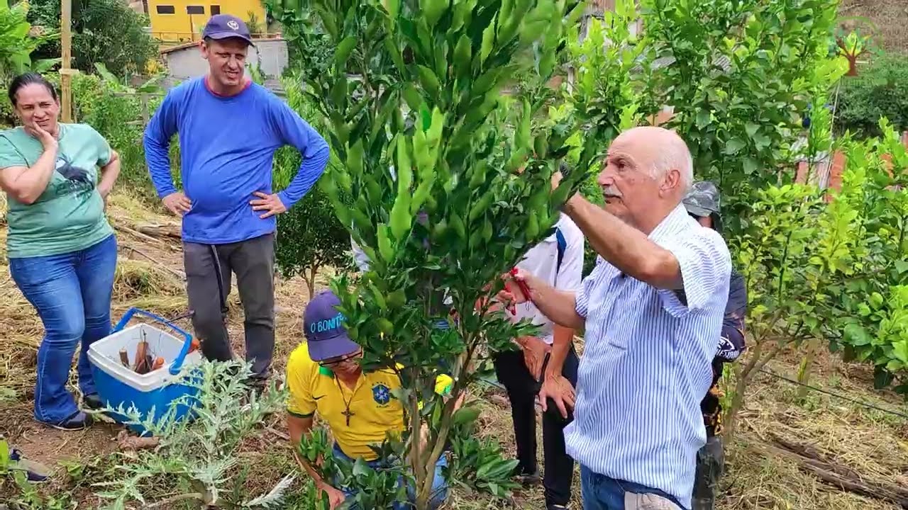 Citrus novo Manejo e Cuidados com Sergio Semerdjian no Plantar em Casa