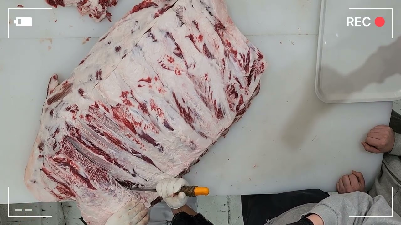 짝갈비의 진짜는 진갈비살이지 !이거지! Part 3 (The real deal of chuck short ribs is the true rib finger meat) #고기손질